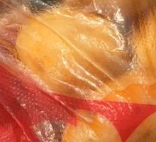 Signature Potato