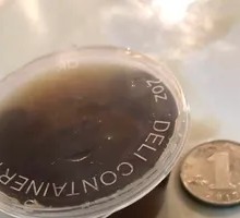 Rice Vinegar