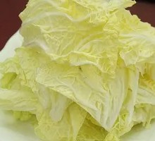 Napa cabbage