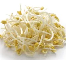 Bean sprouts