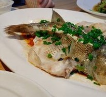 Qiantang River Fish