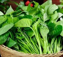 Sweet Potato Leaves