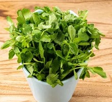 Watercress