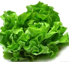Lettuce