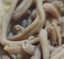Duck Intestines