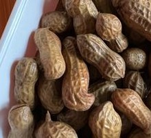 Salted Peanuts
