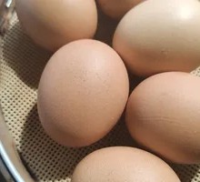 Boiled Nutritious Original Egg