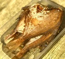 Pan-fried Spanish Mackerel