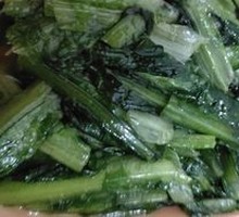 Oilseed lettuce