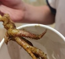 Deep-Sea Squid Tentacles