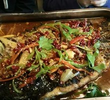Squid