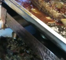Grilled Large Eggplant