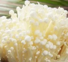 Enoki Mushroom