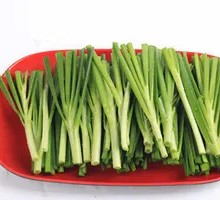 Leek