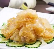 Jellyfish Head