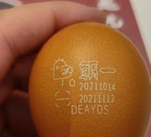 Morning Egg