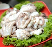 Octopus