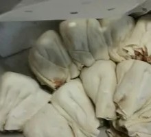 Xiaoshan Bamboo Shoot Dumplings