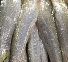 Pure Hairtail Filling