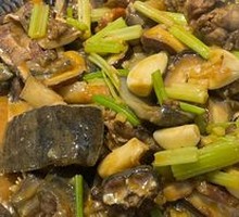 Dry Pot Softshell Turtle