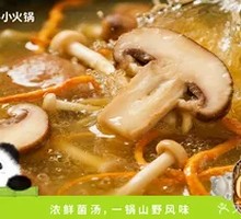 Yunnan Wild Mushroom Hot Pot