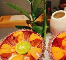 Large Sea Urchin (Haliotis)