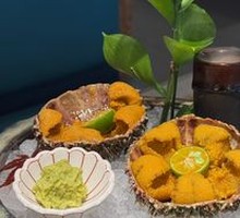 Small Purple Sea Urchin