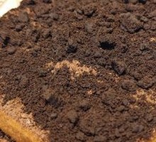 Mudflow Milk Custard