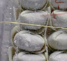 Fresh Herb and Pork Wontons