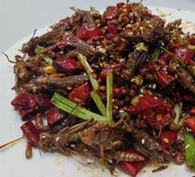 Roasted Spicy Grasshopper