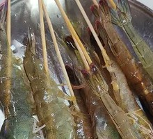 Fresh Deep-Sea Shrimp