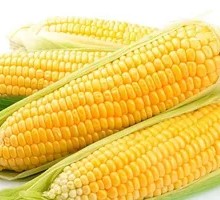 Fulu Corn