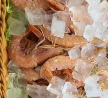 Argentine Red Shrimp