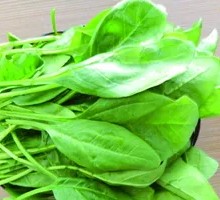 Spinach
