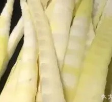 Sour Spicy Bamboo Shoots