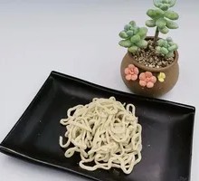 Handmade Noodles