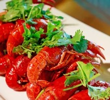 Steamed Medium Shrimp