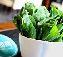 Spinach