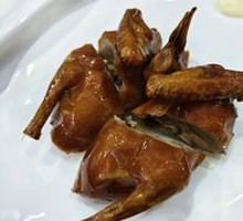 Signature Young Pigeon