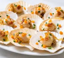 Scallop
