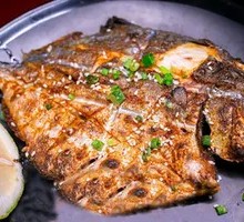 Spanish Mackerel