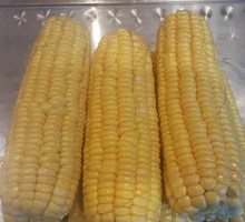 Corn Sausage