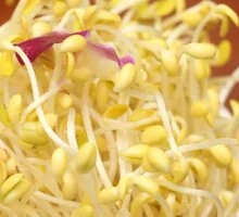 Bean Sprout Side Dish