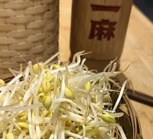 Well Water Bean Sprouts