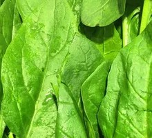 Spinach Instant Noodles