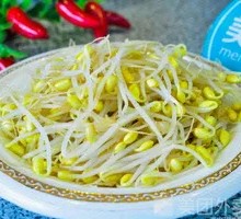 Mung Bean Sprouts