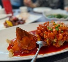 Signature松鼠大桂鱼