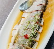 Red Broth Extraordinary White Chicken