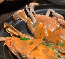 Spider Crab
