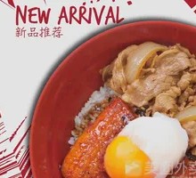 Hot Spring Egg Beef Eel Donburi